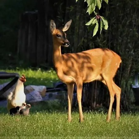 Apartman Rhynern Im Alten 1870