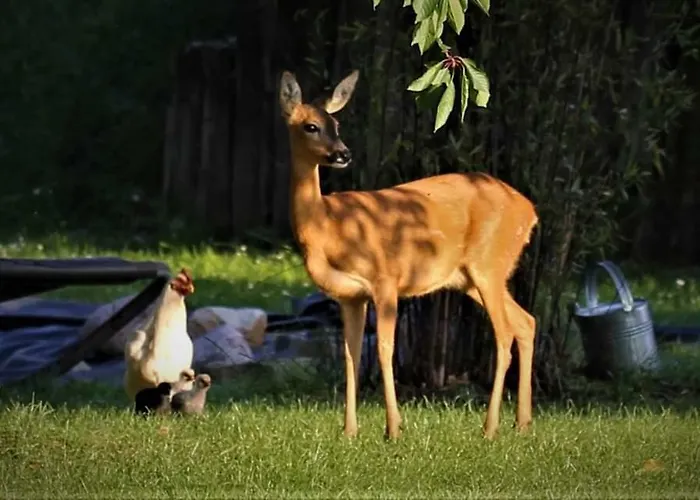 Appartement Rhynern Im Alten 1870